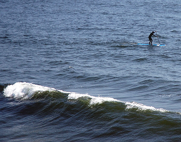 Surfer with paddle, Manhattan Beach