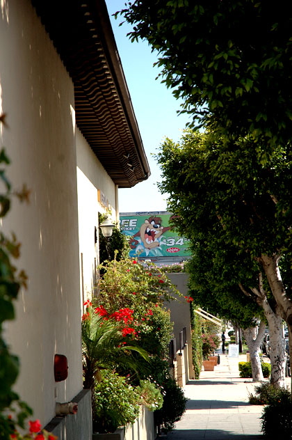 Tasmanian Devil billboard, La Cienega Boulevard