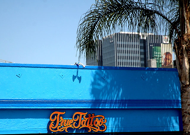True Tattoo, 1614 North Cahuenga Boulevard, in the center of Hollywood