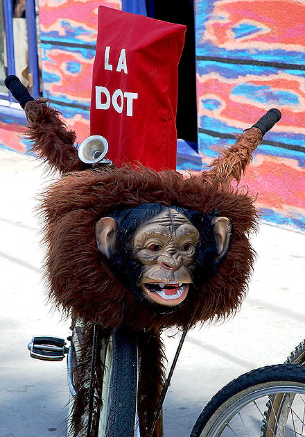 Bicycle with monkey wrap, Venice Beach
