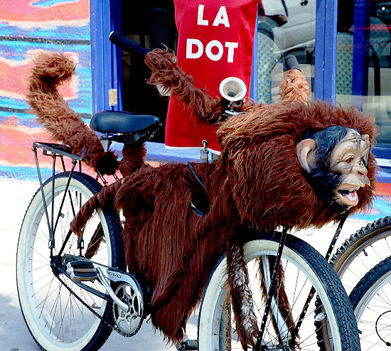 Bicycle with monkey wrap, Venice Beach