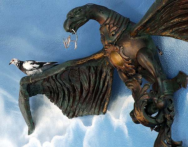 Pigeon with iron dragon-bird under eave, North Venice Boulevard at Oceanfront Walk, Venice Beach