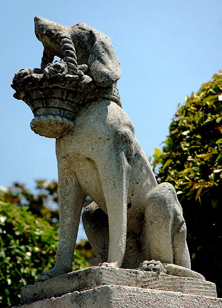 Stone dog, delivering flowers