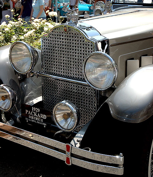1929 Packard Dietrich Dual Cowl Phaeton 