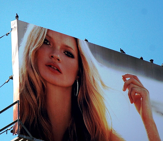 "But no one told this fetching lass above the Whisky about the damned pigeons."   Billboard, Sunset Strip