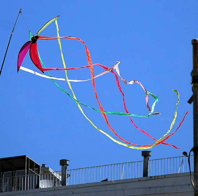 Kite for sale, Venice Beach