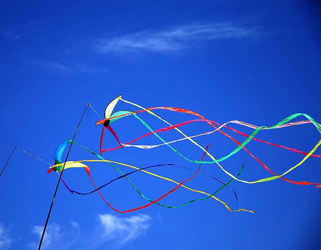 Kites for sale, Venice Beach