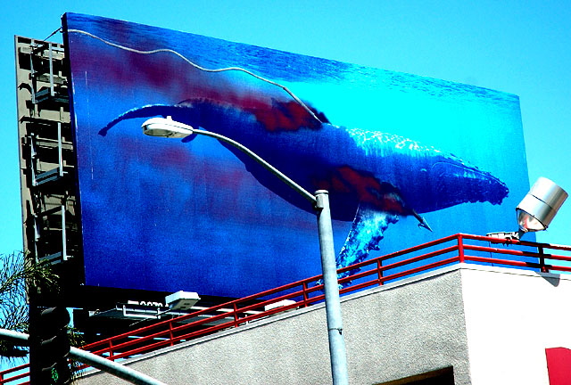 Billboard, Sunset Strip, Harpooned Whale 