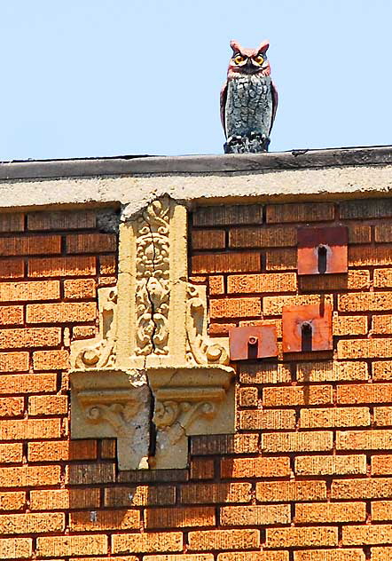 A fake owl in the hot sun on the roof of Hollywood Sound, Selma Avenue -  Hollywood