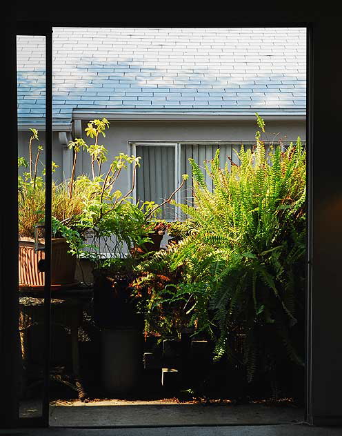 Sliding glass door to plant-filled balcony - Los Angeles