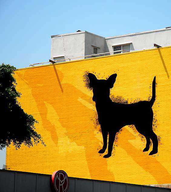 Mysterious black dog on the yellow brick wall - La Brea south of Santa Monica Boulevard, Hollywood