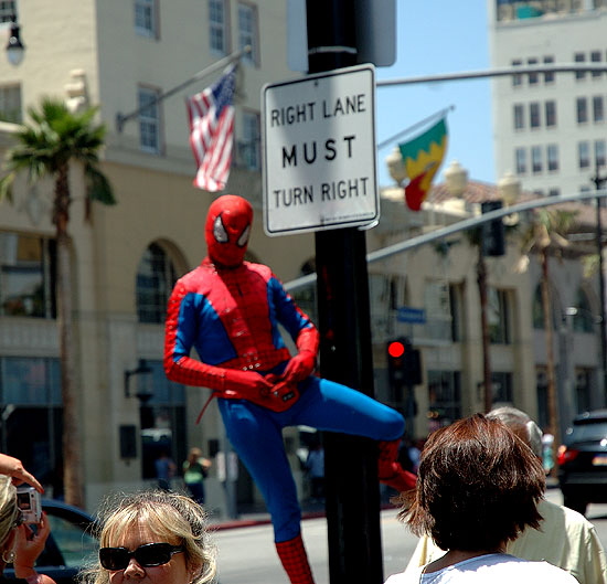 Spiderman impersonator, Hollywood Boulevard 