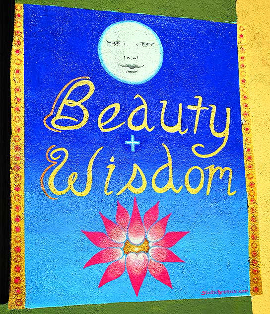 "Beauty + Wisdom" - sign on a shop on Main Street, Santa Monica