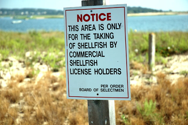 Shellfish Sign