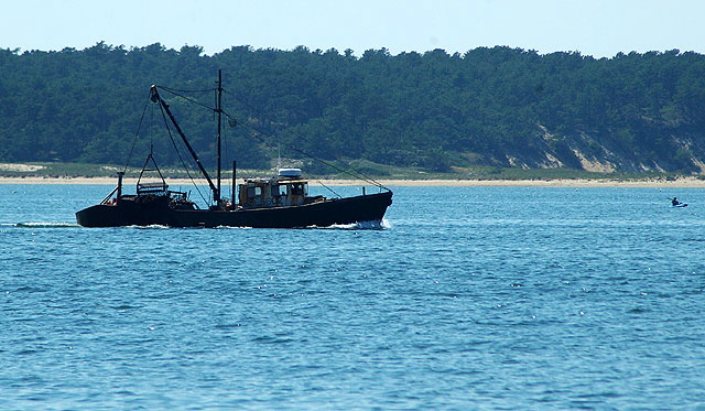 Working shellfish boat. Wellfleet