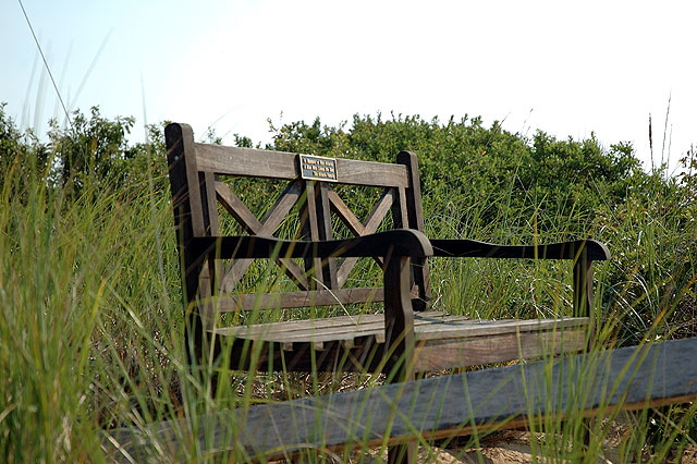 The bench just south of Sunken Meadow Beach