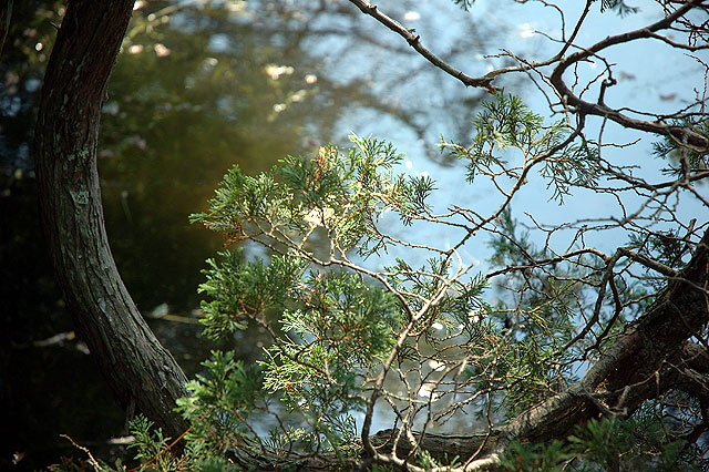 Herring Pond, Eastham, Cape Cod