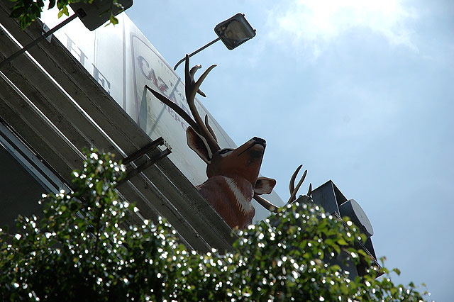 Across Sunset Boulevard from the famous Whiskey a Go Go with its rock acts, this stag advertizes a certain brand of tequila