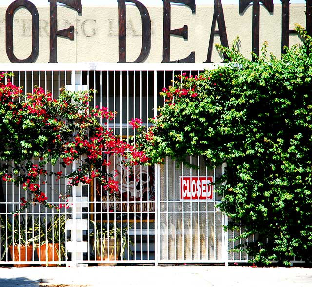 Museum of Death, Hollywood Boulevard