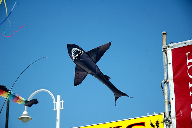 Shark kite for sale, Venice Beach