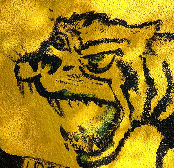 Tiger face at Tiger Boxing Academy, Melrose Avenue, Los Angeles (Hollywood area)