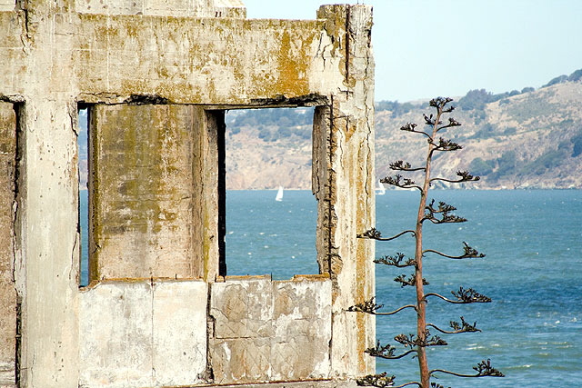 Alcatraz is that small island located in the middle of San Francisco Bay  first a lighthouse, then a military fortification, then a military prison, then a federal prison until 1963, and now it's a historic site supervised by the National Park Service as part of the Golden Gate National Recreation Area.