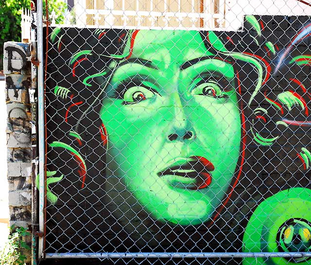 Green Face behind Chain-Link Fence