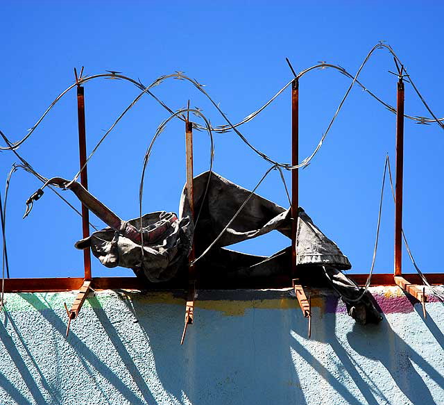 Jeans on Razor Wire