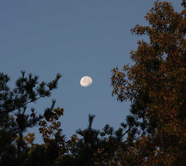The moon at sunrise on Wednesday, August 20, 2008, in central New Jersey
