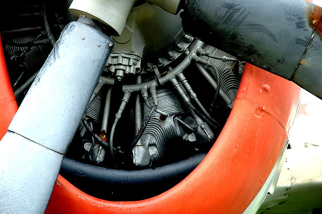 P-47 Thunderbolt - detail
