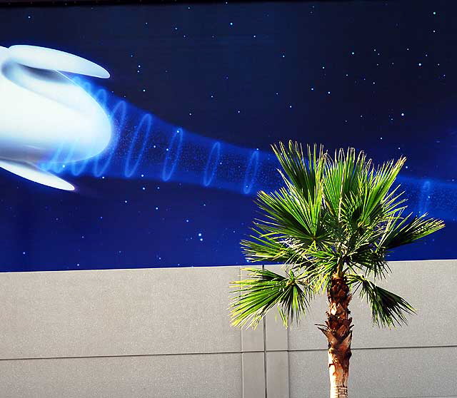 Palm tree and "outer space" billboard, Hollywood Boulevard 