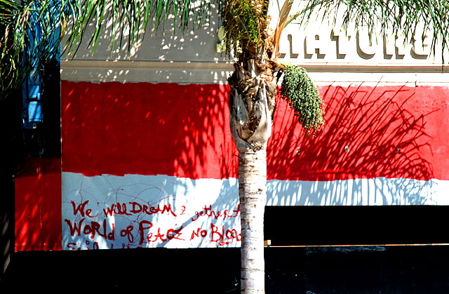 Red wall with graffiti and palm, Hollywood 