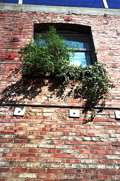 Brick wall with window, Hollywood Boulevard