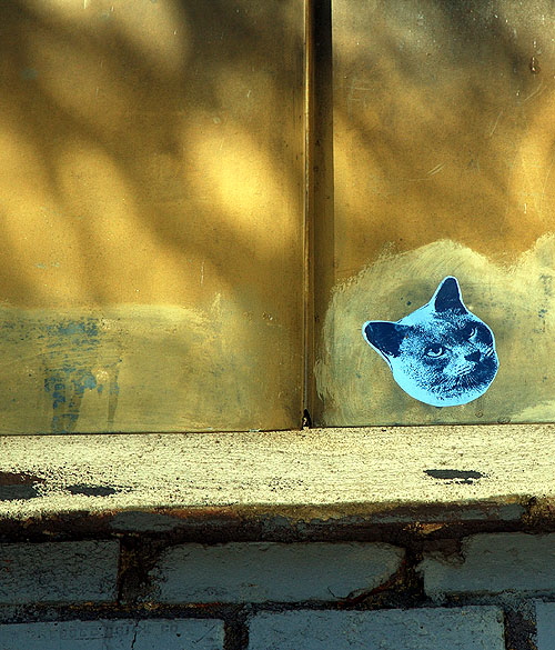 Cat graphic, brick wall, Yucca Street, Hollywood 