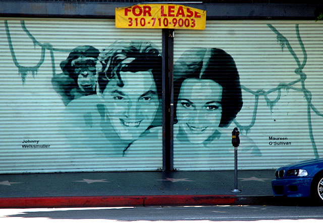 The stars of the original Tarzan movies, rollup door graphic, Hollywood Boulevard 