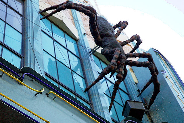 Spider at Hollywood Toys and Costume, Hollywood Boulevard