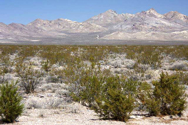 The Desert Southwest - Photo by Martin A. Hewitt