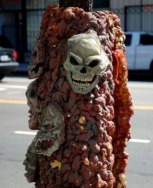 Skulls at the Dapper Cadaver, 5519 Hollywood Boulevard 
