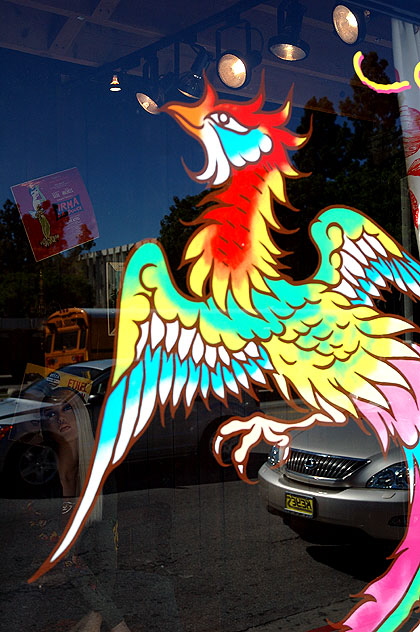 Shop window bird graphic, Melrose Avenue