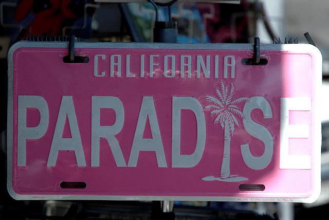 "Paradise" California license plate for sale in shop window, Hollywood Boulevard