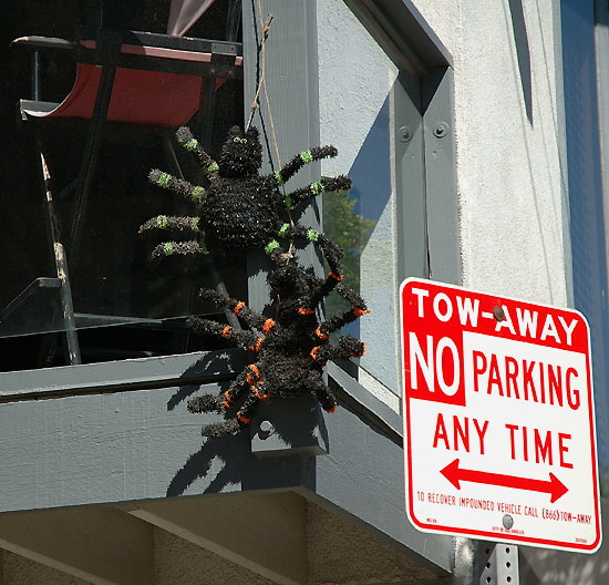 Halloween spiders - the Marina Peninsula, just east of Venice Beach  