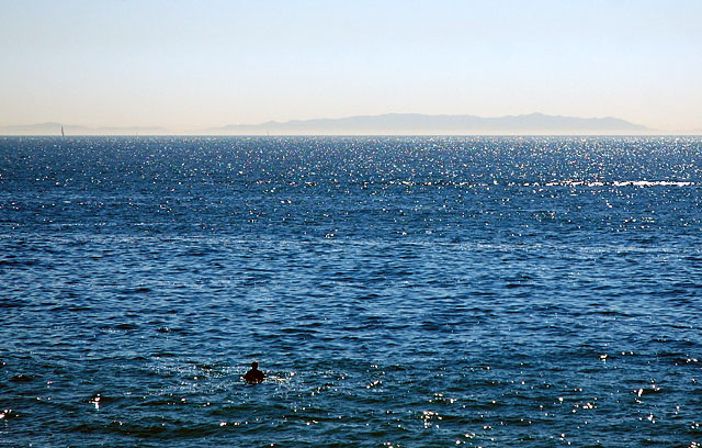 A surfer off the Venice Beach pier considers Catalina