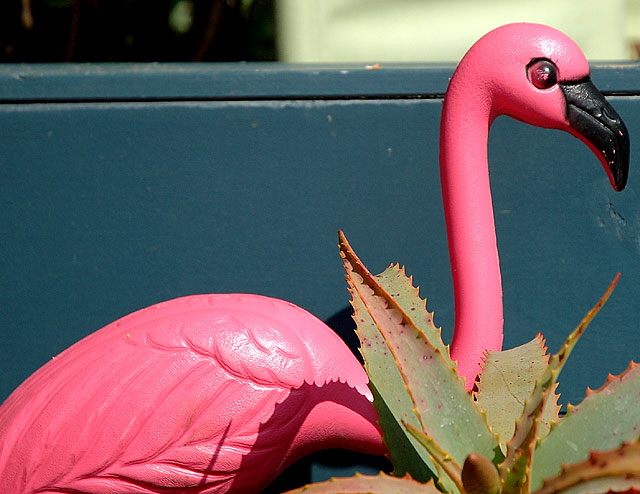 Plastic Pink Flamingo