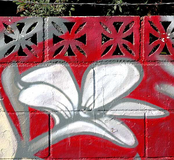 White flower on a blood red concrete block wall, with barbed wire