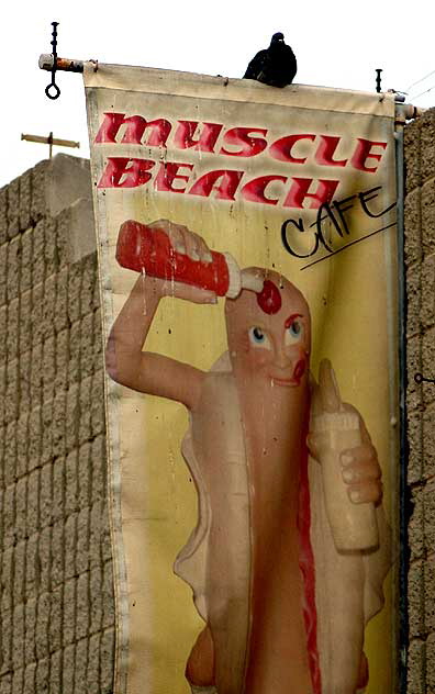 "Hot Dog" graphic, Muscle Beach Caf, Oceanfront Walk, Venice Beach