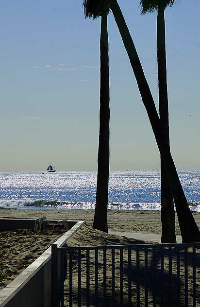 Venice Beach, late afternoon light