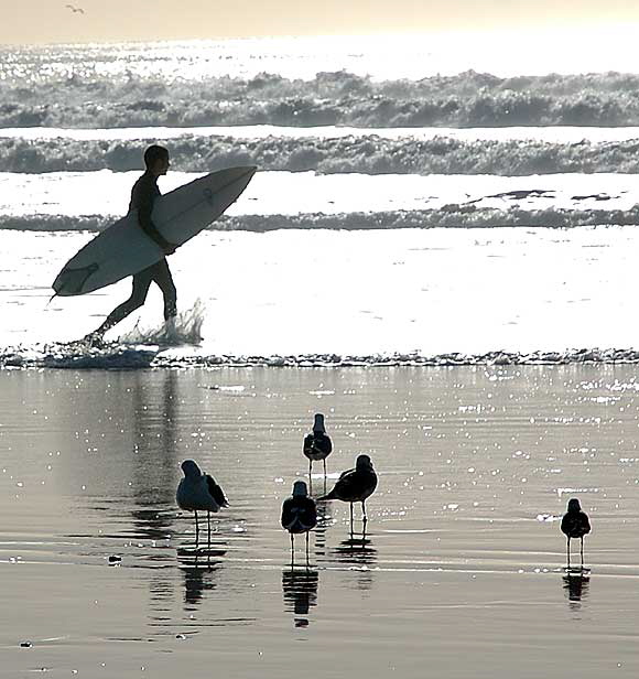 Surfer, South Carlsbad Beach, San Diego County - Christmas Day, 2007