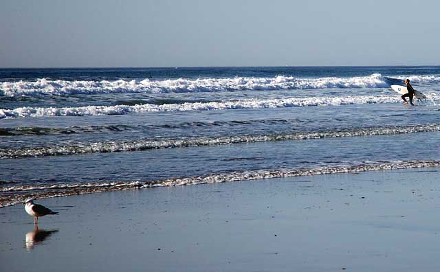 Surfer, South Carlsbad Beach, San Diego County - Christmas Day, 2007