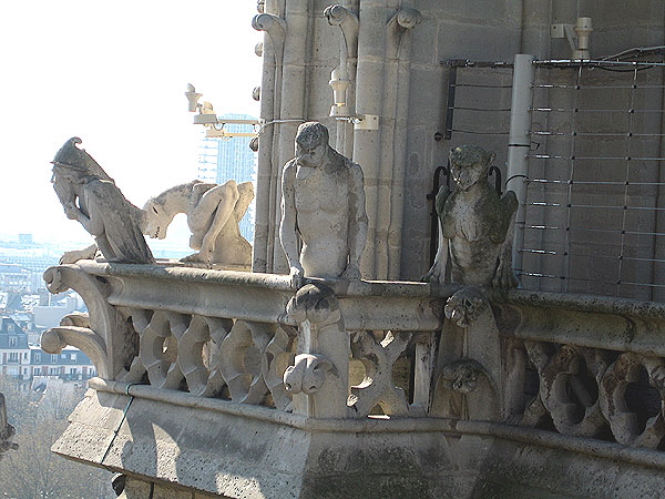 Gargoyles- Notre Dame - Paris