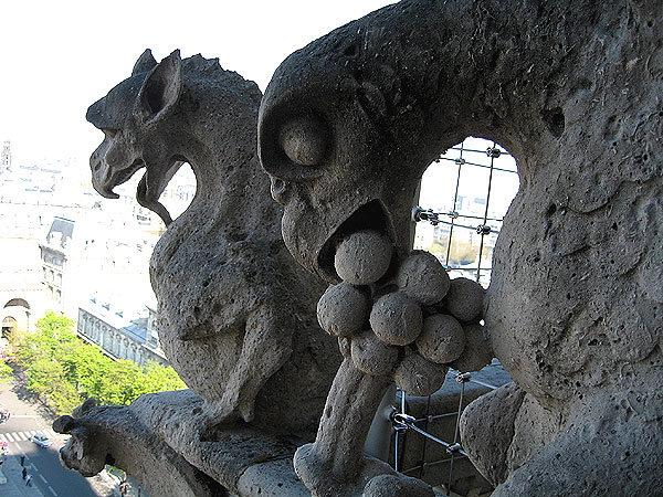 Gargoyles- Notre Dame - Paris